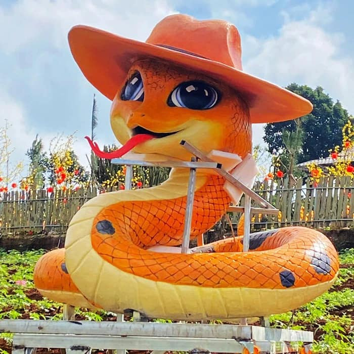 Ảnh: Cụ Hội Ảnh: Cụ Hội