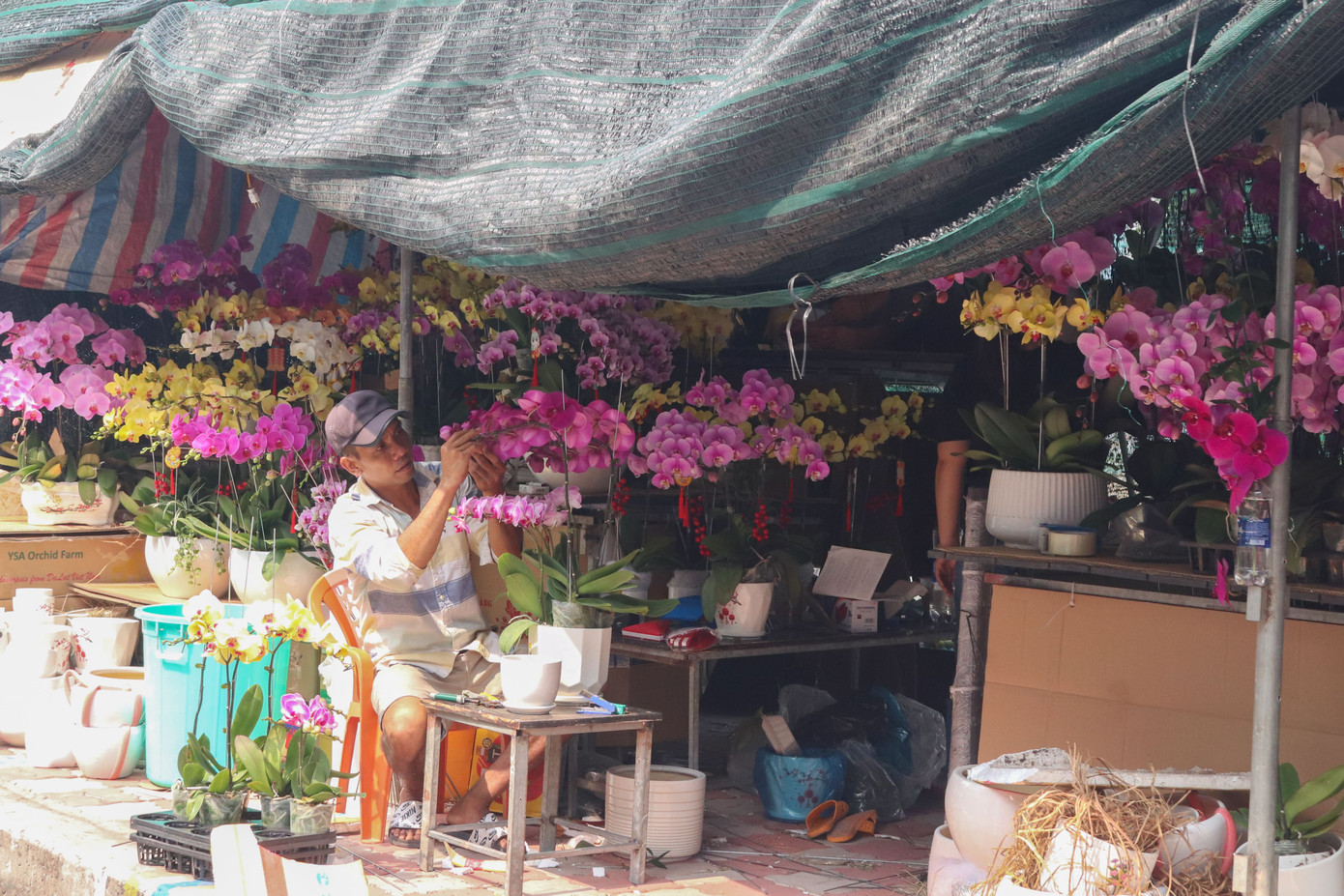 Các tiểu thương tất bật chuẩn bị hoa để phục vụ người dân mua hoa trưng Tết.