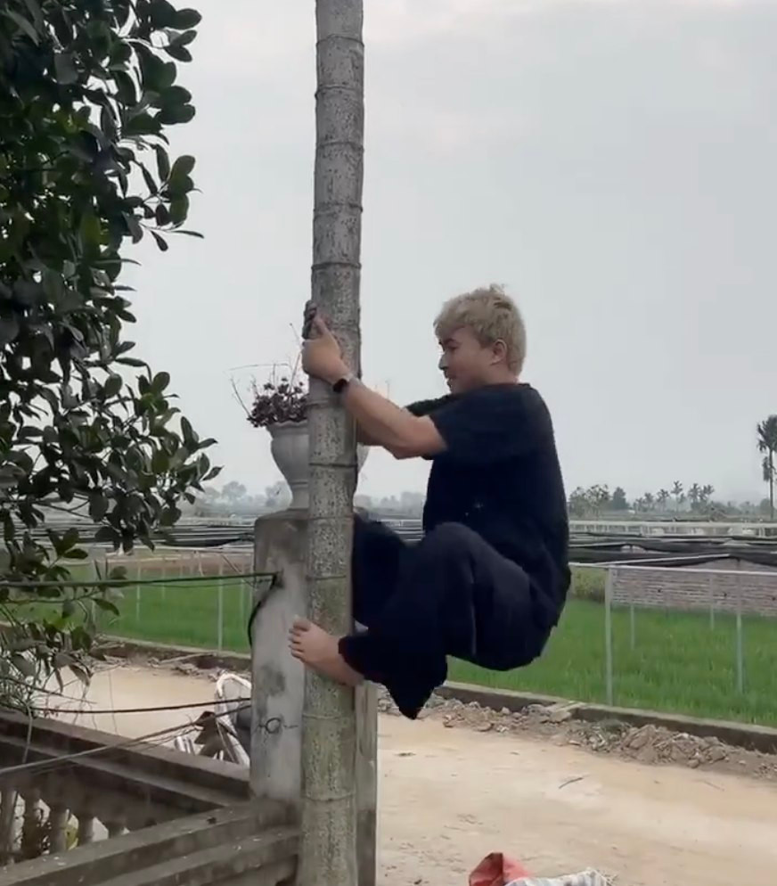 "Anh tài" HuyR hóa cô Tấm trèo cây cau. "Anh tài" HuyR hóa cô Tấm trèo cây cau.