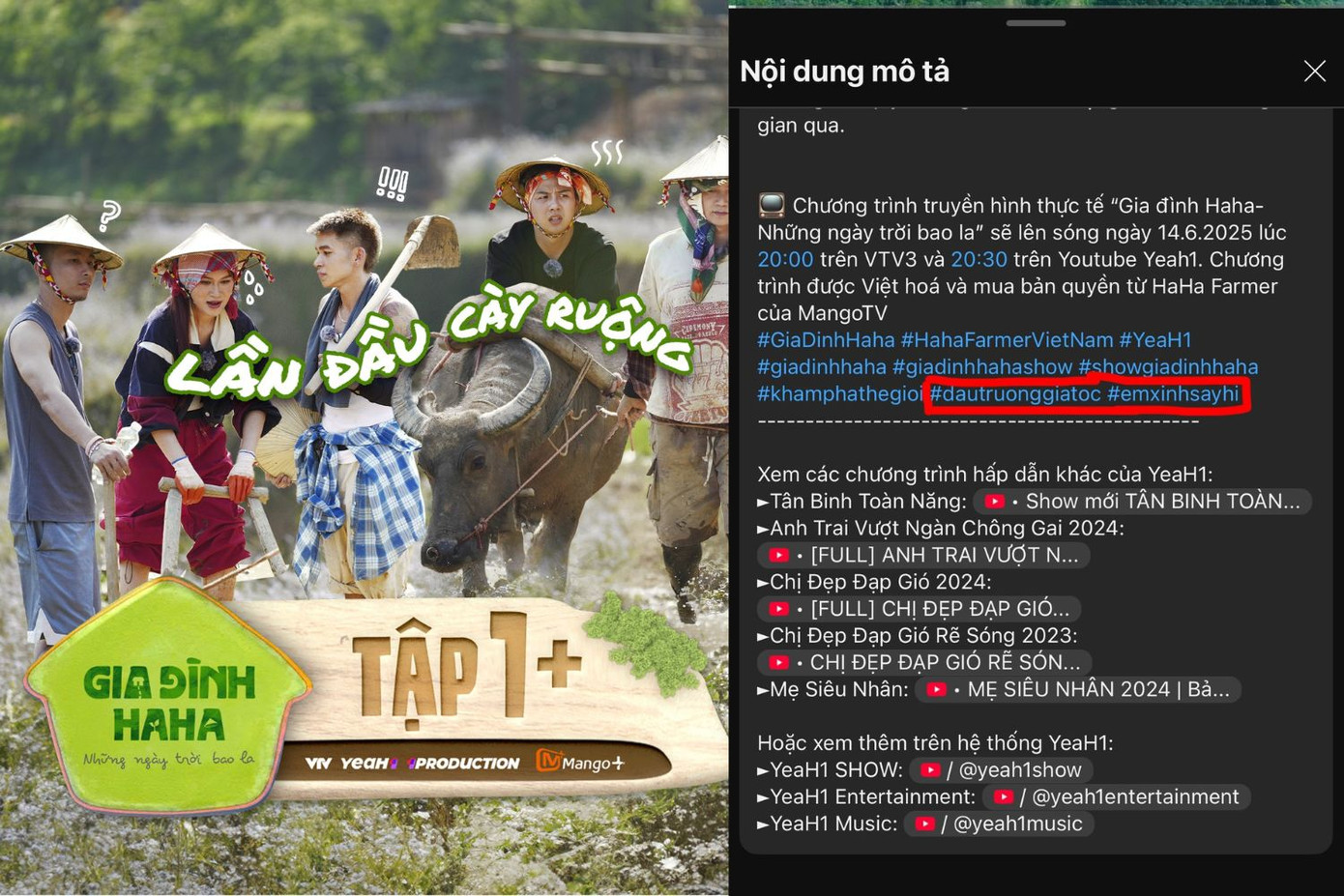 Gia Đình Haha gây tranh cãi khi gắn hashtag không liên quan từ tập đầu tiên. Gia Đình Haha gây tranh cãi khi gắn hashtag không liên quan từ tập đầu tiên.