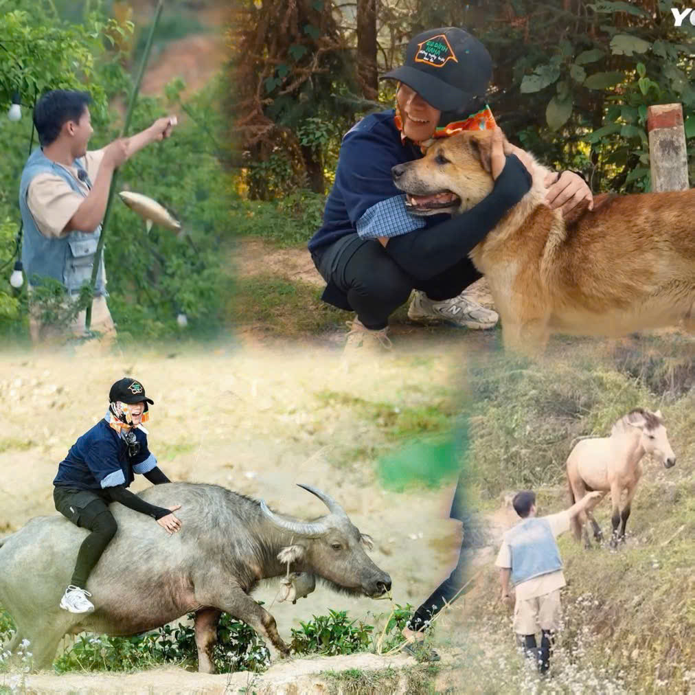 Nam ca sĩ cũng là "bạn thân" của bé Gấu (chú cún), bé Thẩu (con trâu),... của nhà chị Thông. Ảnh: @iamsol__18 Nam ca sĩ cũng là "bạn thân" của bé Gấu (chú cún), bé Thẩu (con trâu),... của nhà chị Thông. Ảnh: @iamsol__18