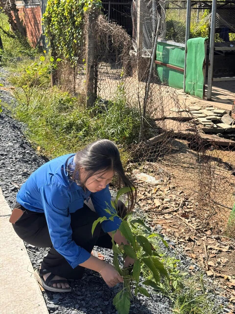 Ảnh: Đoàn - Hội xã Tân An Hội Ảnh: Đoàn - Hội xã Tân An Hội