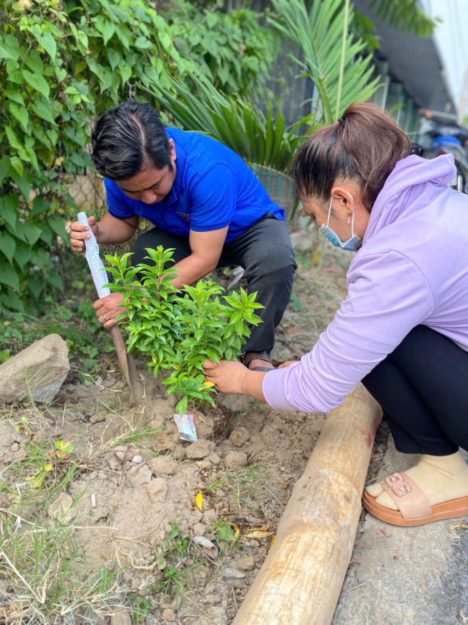 Ảnh: Đoàn Thị Trấn Long Hồ Ảnh: Đoàn Thị Trấn Long Hồ