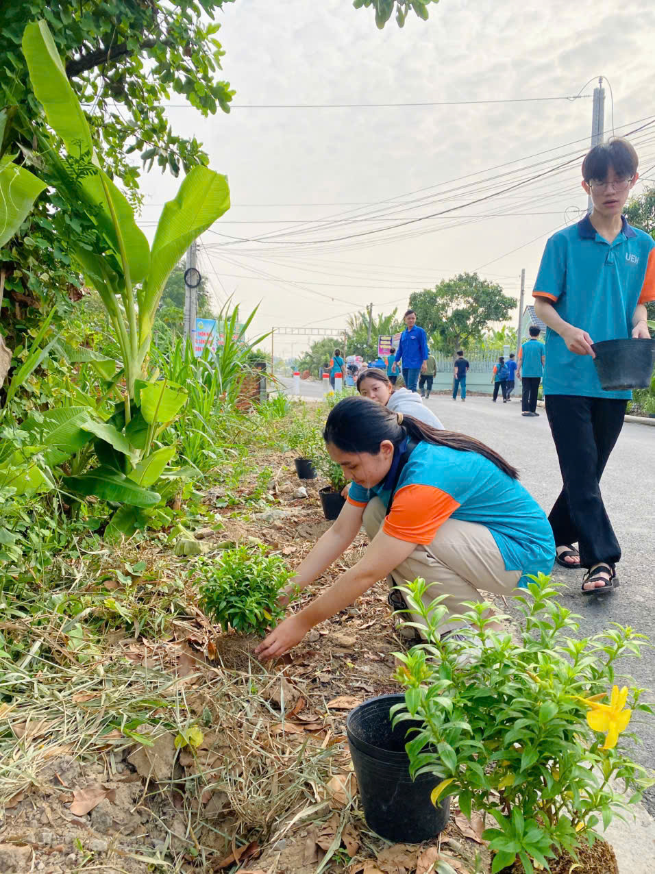 Ảnh: Đoàn Thị Trấn Long Hồ Ảnh: Đoàn Thị Trấn Long Hồ