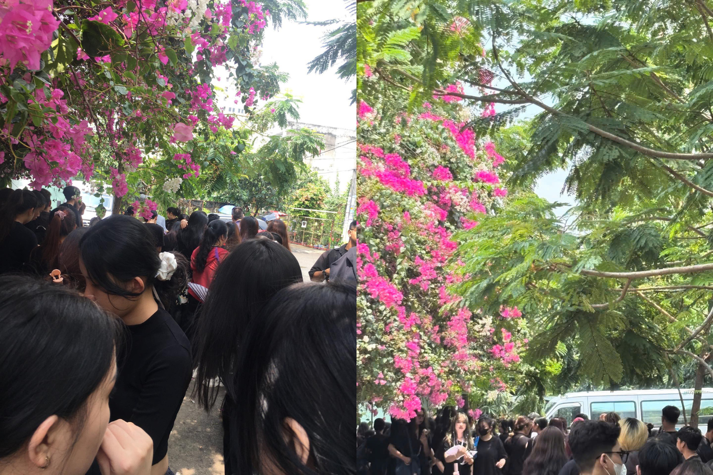 Đến gần giờ ghi hình, khán giả bắt đầu tập trung đông. Nguồn: @natyputa.1801 (Threads)