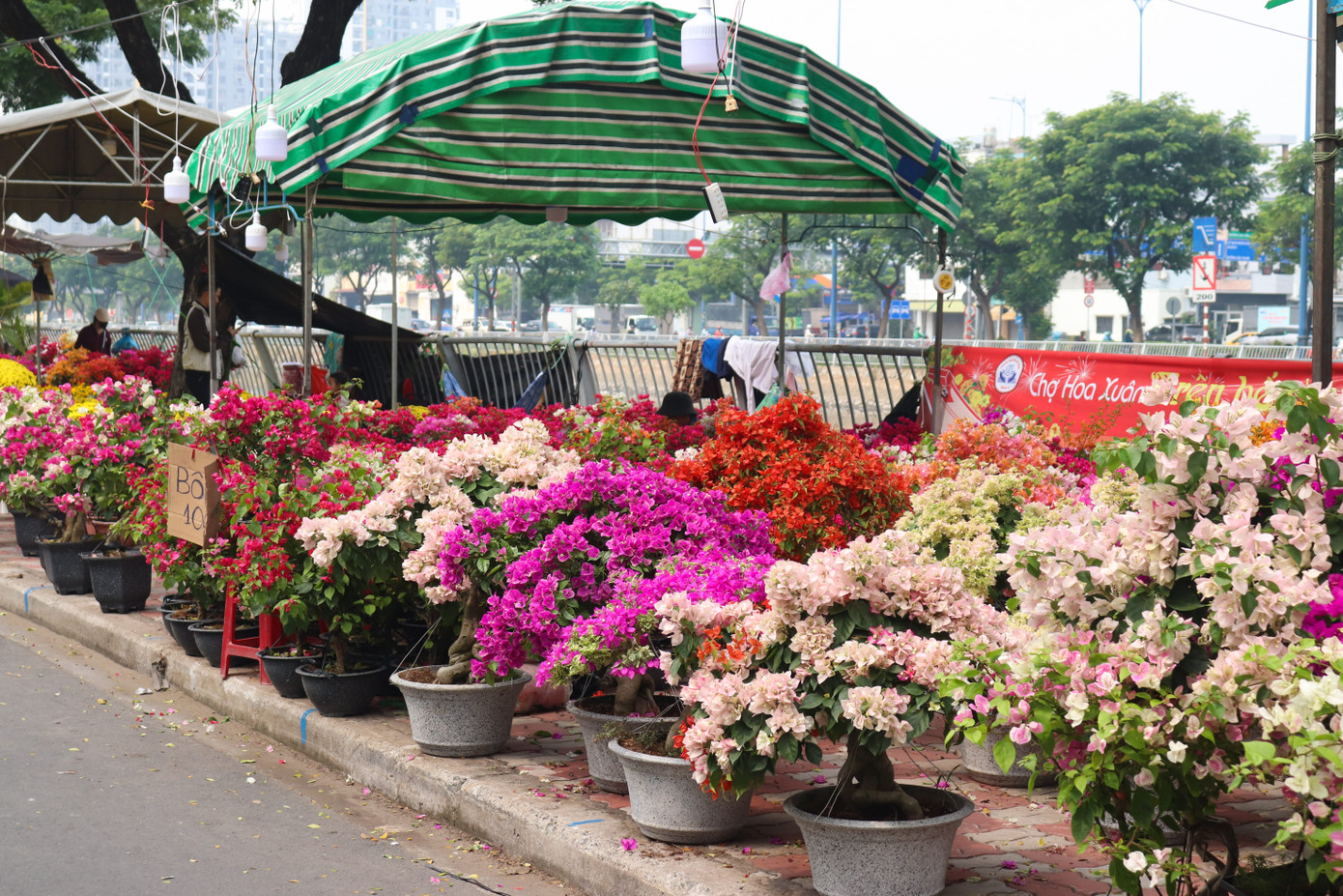 Nhiều loại hoa cảnh được bày bán dọc tuyến đường.