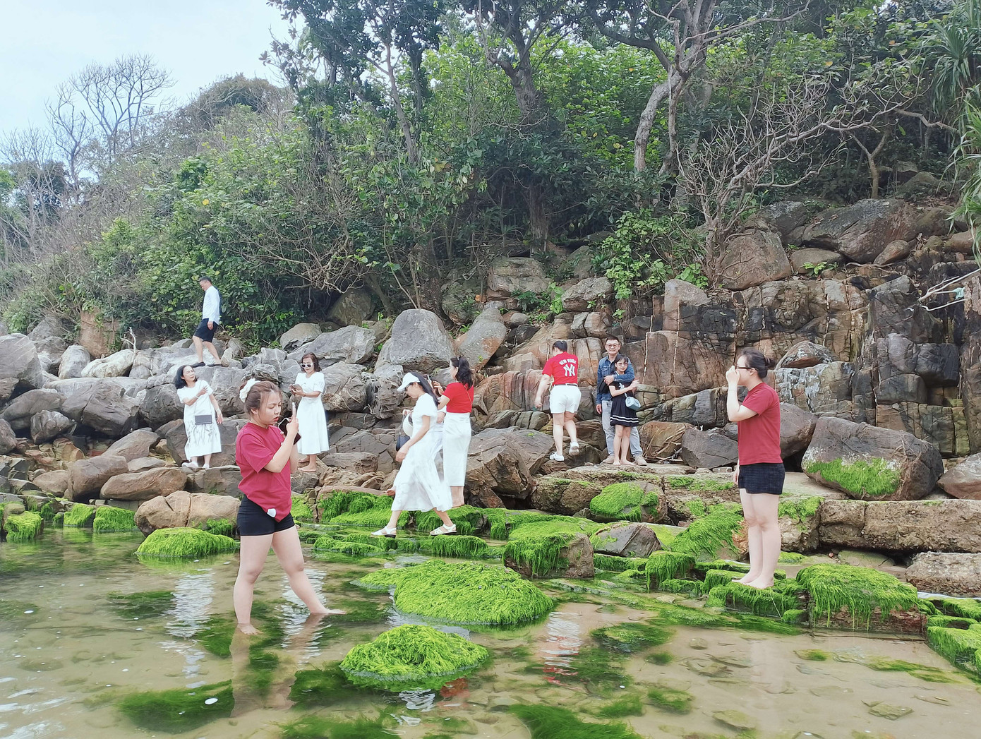 Rất đông bạn trẻ đến đây để check-in trước khi hết mùa rêu xanh. Ảnh: Hữu Tùng Rất đông bạn trẻ đến đây để check-in trước khi hết mùa rêu xanh. Ảnh: Hữu Tùng