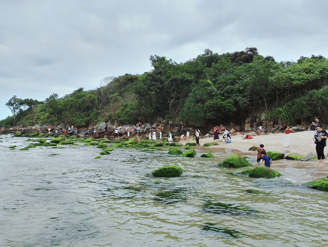 Ảnh: Hữu Tùng Ảnh: Hữu Tùng