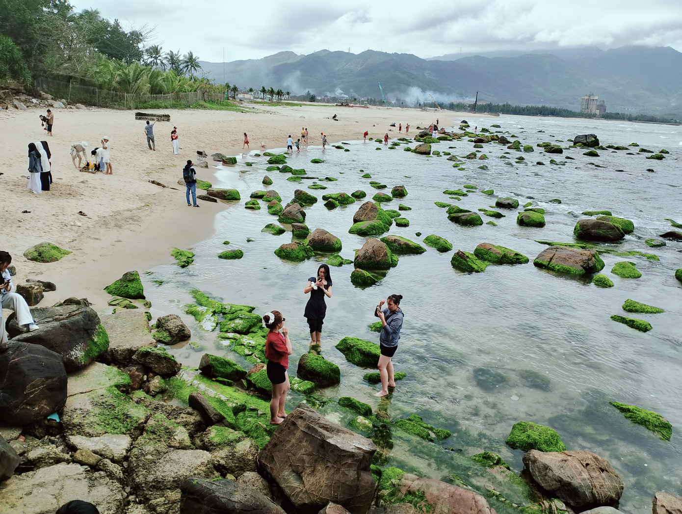 Mùa rêu về trên rạn đá Nam Ô biến nơi đây thành "chốn bồng lai tiên cảnh" giữa đời thực. Ảnh: Hữu Tùng Mùa rêu về trên rạn đá Nam Ô biến nơi đây thành "chốn bồng lai tiên cảnh" giữa đời thực. Ảnh: Hữu Tùng