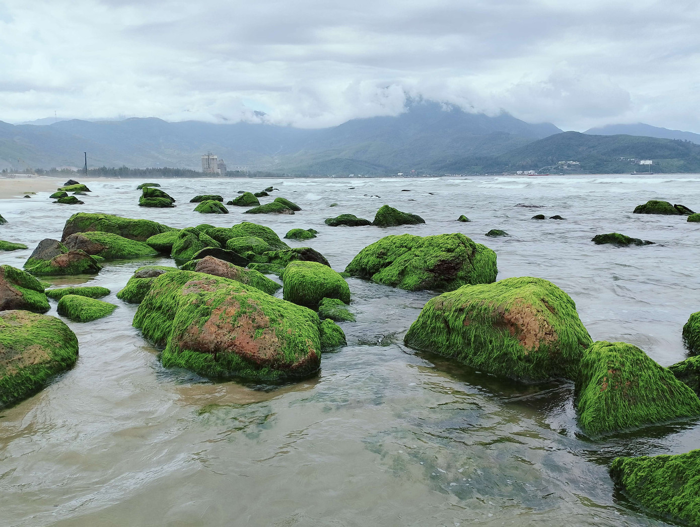 Những mảng rêu xanh mướt như tấm thảm nhung bao phủ lên các ghềnh đá. Khi từng con sóng xô bờ, những mảng rêu ấy lại bồng bềnh khiến ai thấy cũng phải mê "quên lối về". Ảnh: Hữu Tùng Những mảng rêu xanh mướt như tấm thảm nhung bao phủ lên các ghềnh đá. Khi từng con sóng xô bờ, những mảng rêu ấy lại bồng bềnh khiến ai thấy cũng phải mê "quên lối về". Ảnh: Hữu Tùng