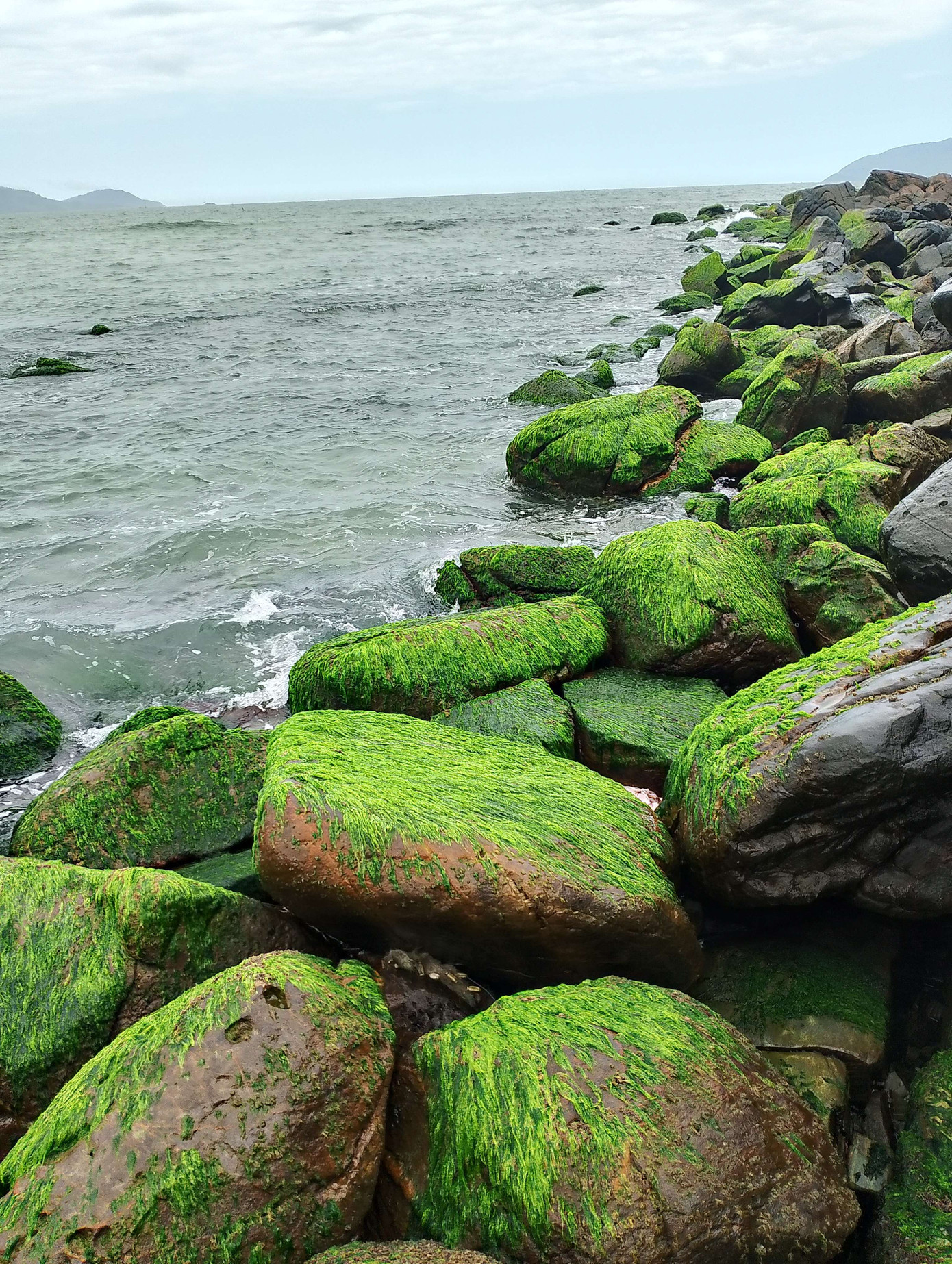 Ảnh: Hữu Tùng Ảnh: Hữu Tùng