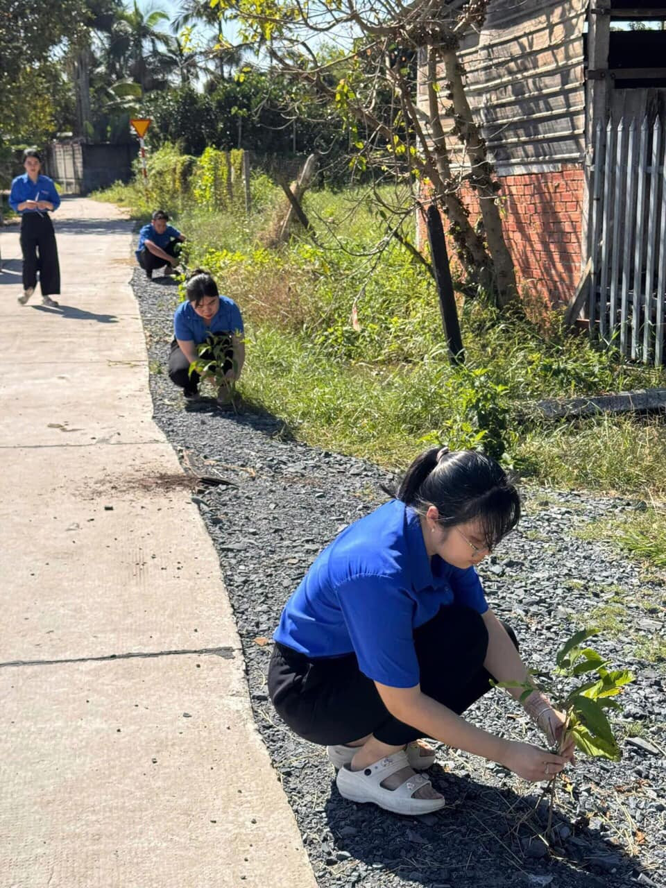 Ảnh: Đoàn - Hội xã Tân An Hội Ảnh: Đoàn - Hội xã Tân An Hội