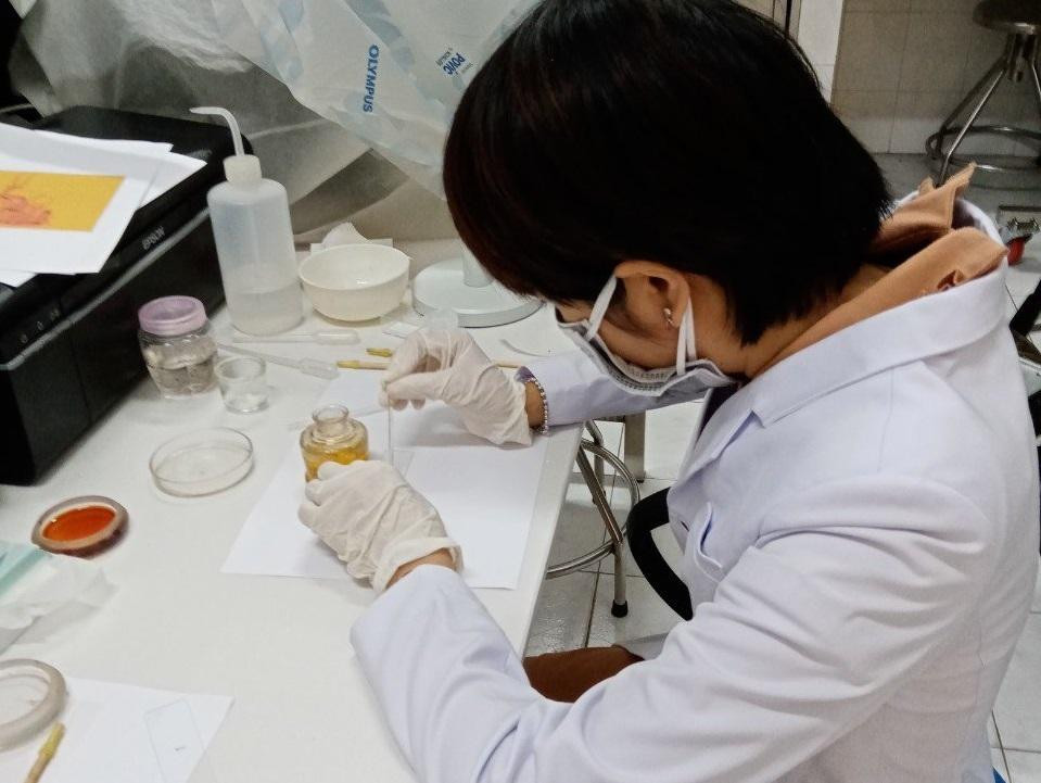 TPHCM đã được công nhận loại trừ bệnh sốt rét từ năm 2020 nhưng vẫn phải cảnh giác trước nguy cơ bệnh quay trở lại