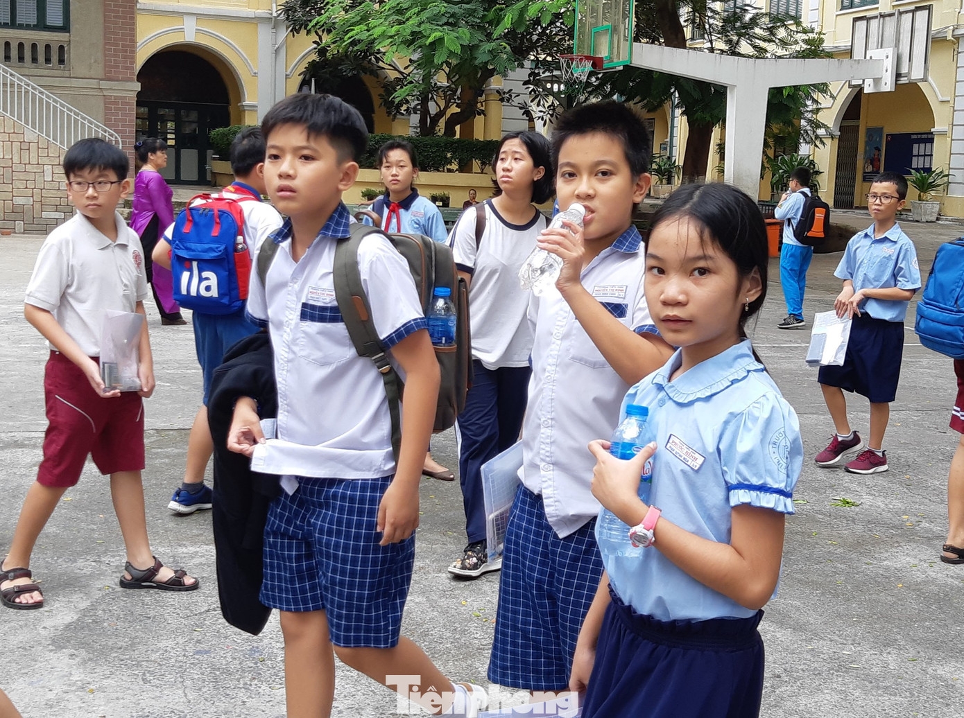 Thí sinh tham dự kỳ thi vào lớp 6 Trường THPT Chuyên Trần Đại Nghĩa những năm trước Thí sinh tham dự kỳ thi vào lớp 6 Trường THPT Chuyên Trần Đại Nghĩa những năm trước