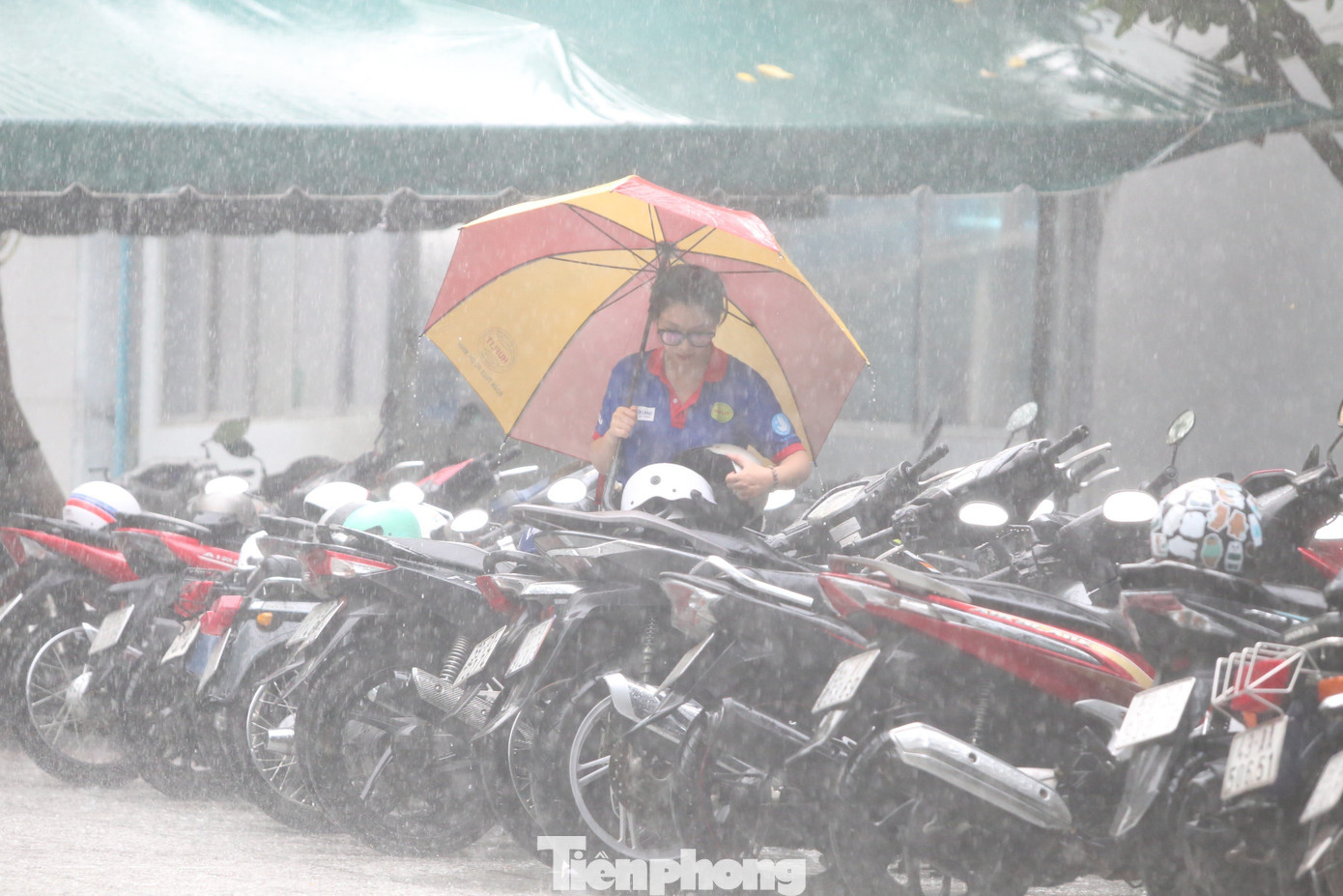 Chiều 27/6, khi thí sinh đang làm thủ tục dự thi thì trời đổ cơn mưa lớn. Tại điểm thi Colette, quận 3, các tình nguyện viên tiếp sức mùa thi đã cầm dù đến từng xe máy lật úp các mũ bảo hiểm của thí sinh để tránh bị mưa ướt. Chiều 27/6, khi thí sinh đang làm thủ tục dự thi thì trời đổ cơn mưa lớn. Tại điểm thi Colette, quận 3, các tình nguyện viên tiếp sức mùa thi đã cầm dù đến từng xe máy lật úp các mũ bảo hiểm của thí sinh để tránh bị mưa ướt.