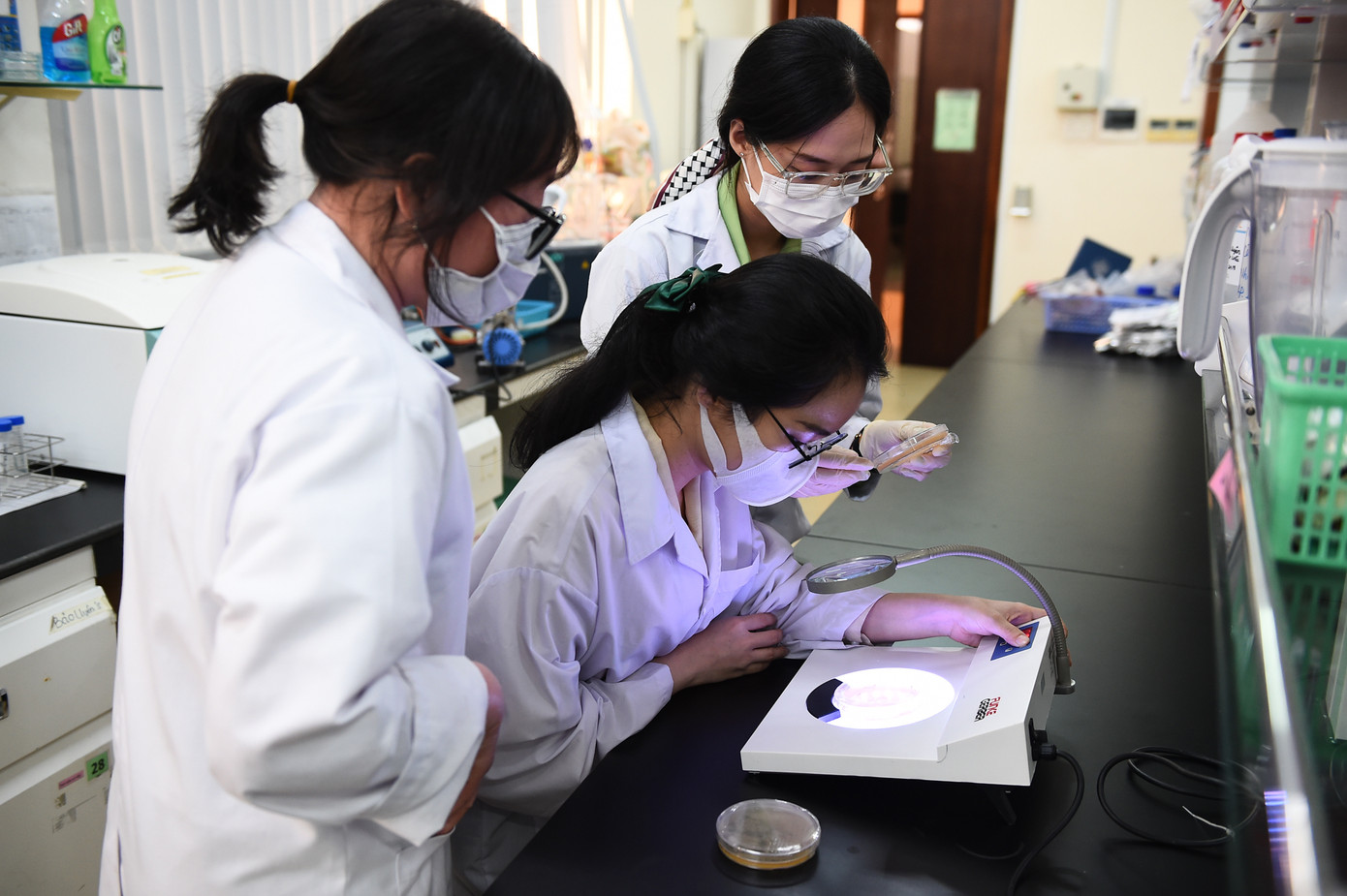 Sinh viên Trường ĐH Quốc tế TPHCM trong giờ thực hành thí nghiệm