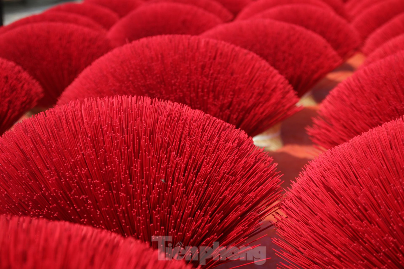 Sắc đỏ rực rỡ mùa cận tết Sắc đỏ rực rỡ mùa cận tết