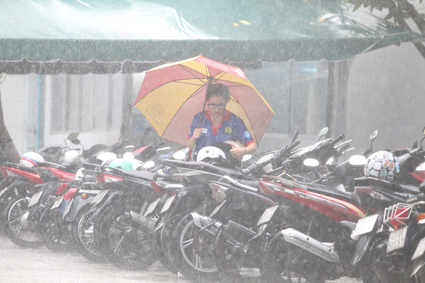 Tình nguyện viên úp mũ bảo hiểm cho khỏi ướt.