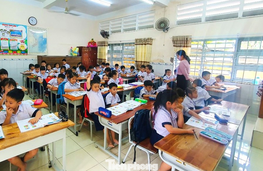 TPHCM còn gần 50.000 học sinh chưa xác thực mã định danh TPHCM còn gần 50.000 học sinh chưa xác thực mã định danh