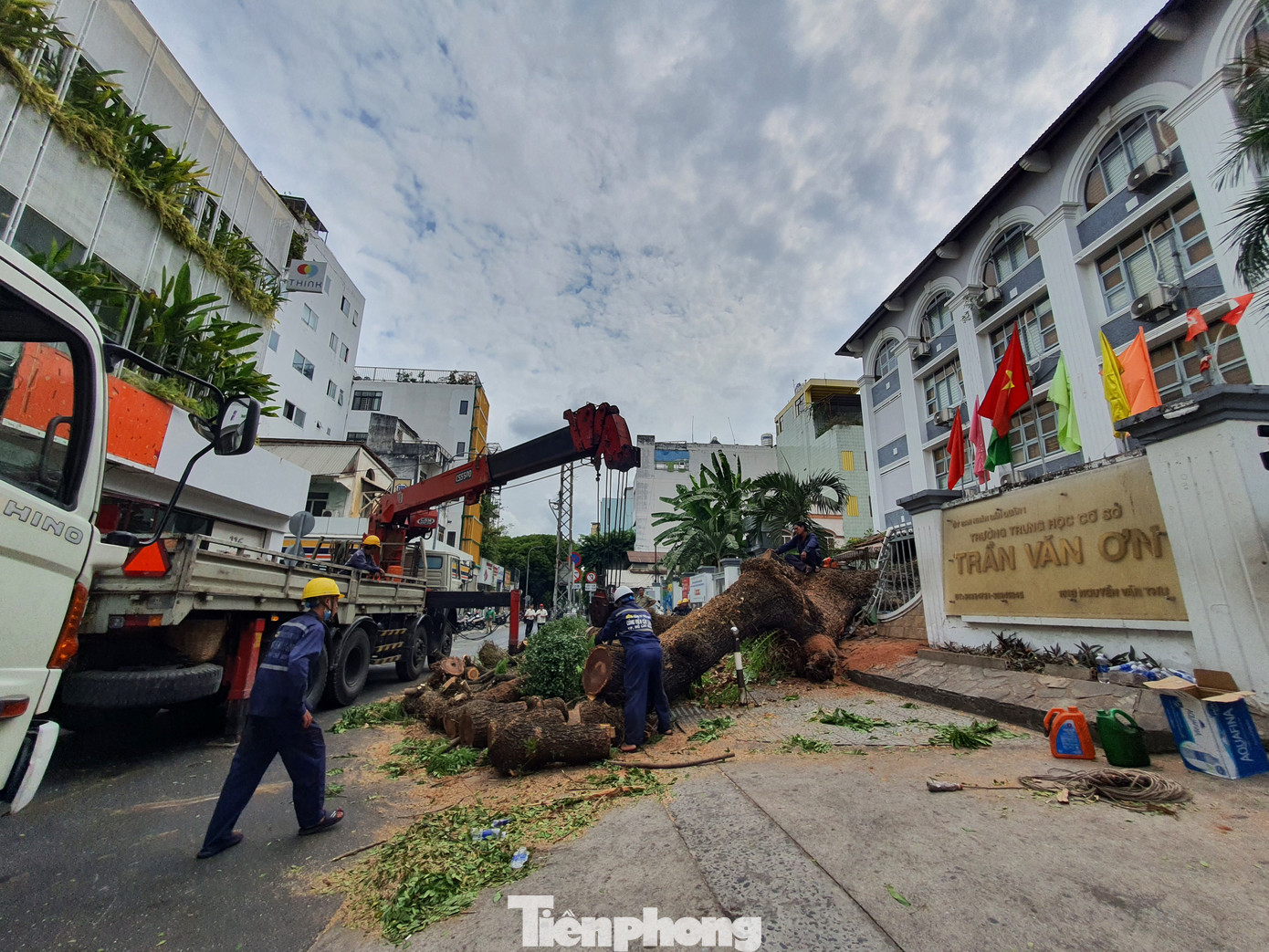 Hiện trường cây me cổ thụ ở Trường THCS Trần Văn Ơn bật gốc sáng 3/4 (ảnh: Nguyễn Dũng) Hiện trường cây me cổ thụ ở Trường THCS Trần Văn Ơn bật gốc sáng 3/4 (ảnh: Nguyễn Dũng)