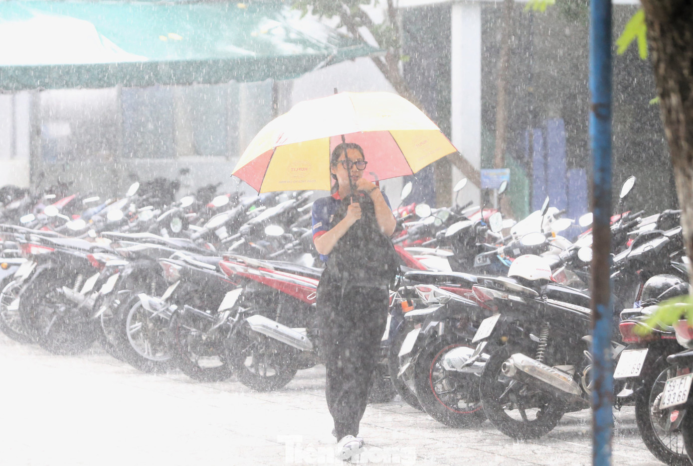 Các tình nguyện viên còn lấy ba lô trên xe mang vào cất giữ giúp thí sinh. Các tình nguyện viên còn lấy ba lô trên xe mang vào cất giữ giúp thí sinh.