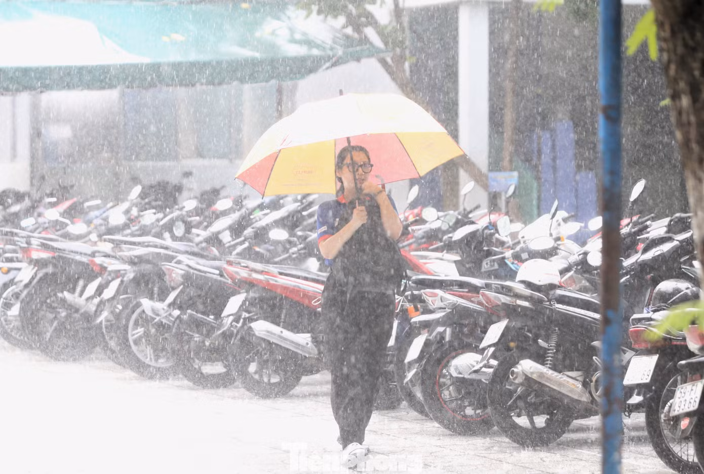 Các tình nguyện viên còn lấy ba lô trên xe mang vào cất giữ giúp thí sinh. Các tình nguyện viên còn lấy ba lô trên xe mang vào cất giữ giúp thí sinh.