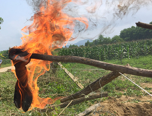 Phát hiện dầu rỉ theo mạch nước ngầm ở Hà Tĩnh ảnh 2