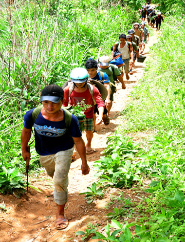 Hầm sập chết người, hàng trăm phu vàng tháo chạy khỏi rừng ảnh 1