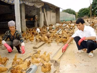 Ảnh minh hoạ