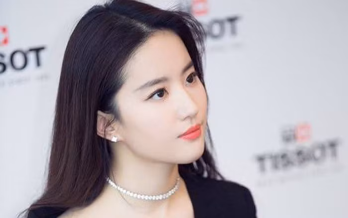 Nhan sắc 'minh tinh' từ bé đến lớn của Lưu Diệc Phi ảnh 8