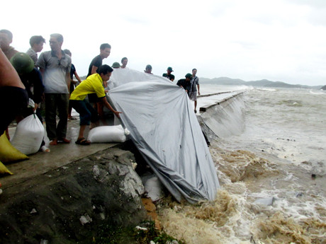 Gia cố tuyến đê kè tại khu vực huyện đảo Cô Tô (Quảng Ninh)