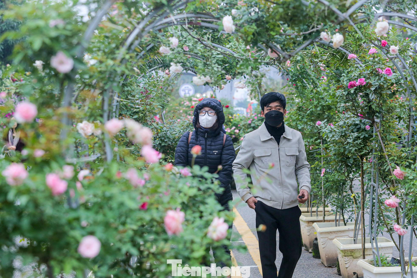 Cổng hoa hình trái tim được kết bằng 100% hoa hồng được đặt ngay lối vào đền Hai Bà Trưng.