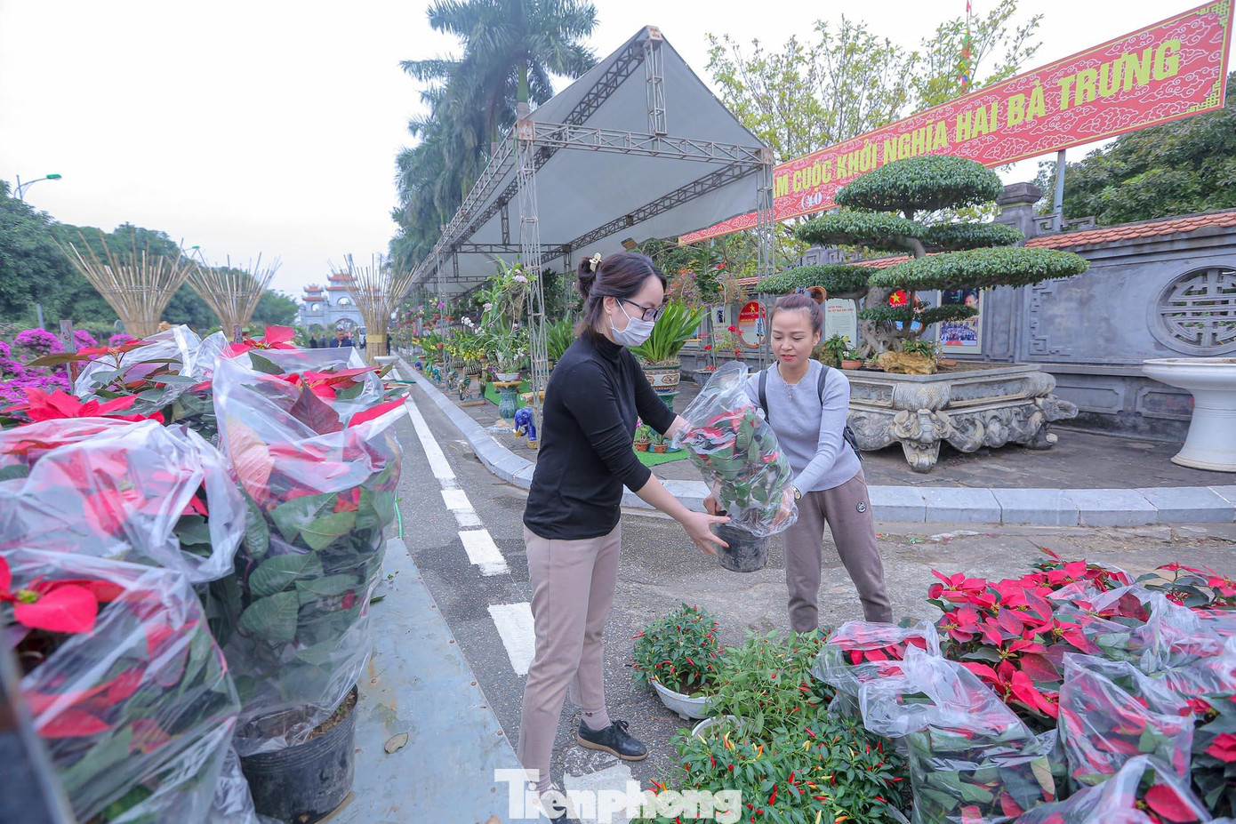 Đây là lần đầu tiên huyện tổ chức lễ hội hoa nên những nhà vườn ở đây tập trung hết sức để giữ và chăm sóc hoa thật đẹp.