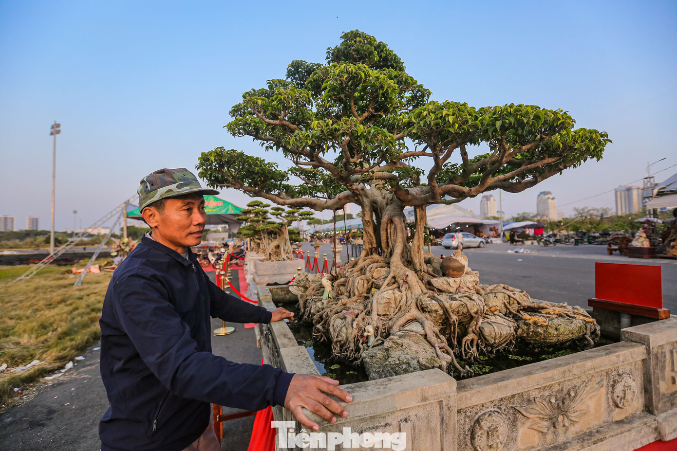 Tác phẩm "Bách Niên Thanh Thủy" được nhà vườn chào bán với giá 3,5 tỷ đồng.