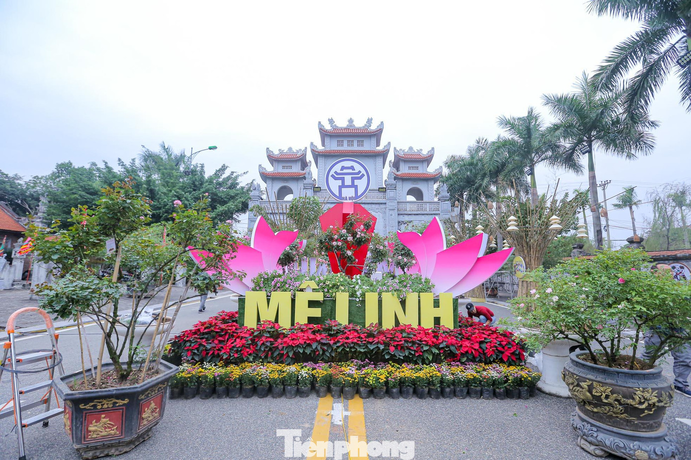 Đây được coi là nơi “check in” lý tưởng để người dân và du khách hòa mình vào thế giới các loài hoa. Đây cũng là lần đầu tiên huyện Mê Linh tổ chức Chương trình Lễ hội hoa nhằm trưng bày, giới thiệu các loại hoa, sản phẩm từ hoa, cây cảnh, nghệ thuật sắp đặt, trang trí hoa, cây cảnh của các nghệ nhân trồng hoa huyện Mê Linh tới các đại biểu, Nhân dân và du khách thập phương.