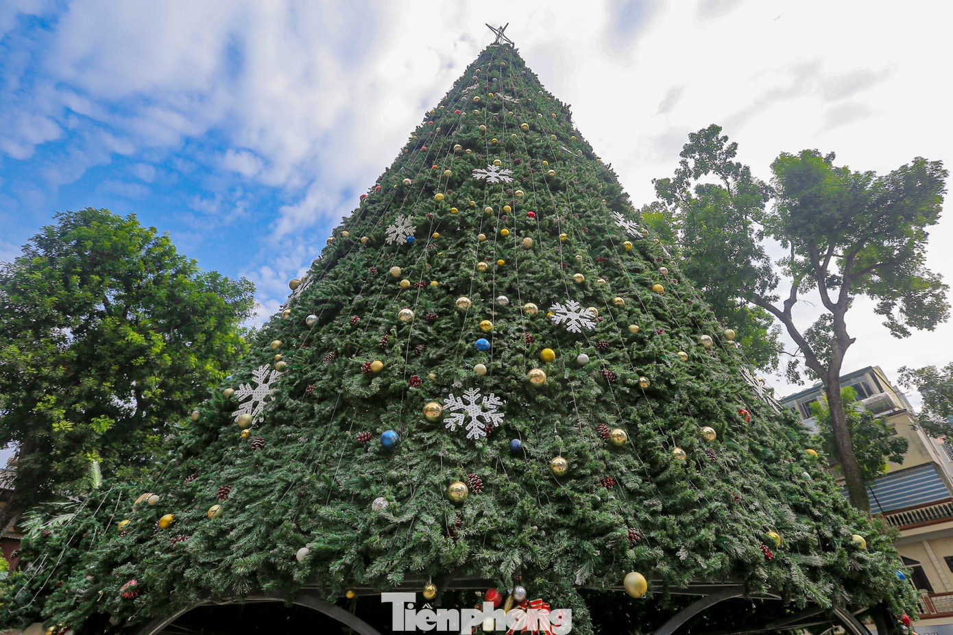 Hình ảnh cây thông khổng lồ đã gắn liền với Nhà thờ Lớn như mọi năm.