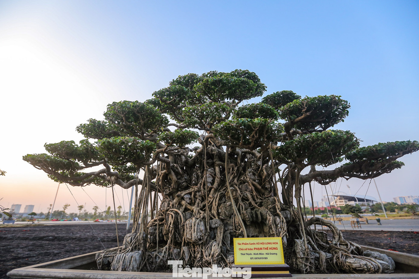 Tác phẩm "Vũ hội Long Hoa" được bày bán với giá hàng chục tỷ đồng.