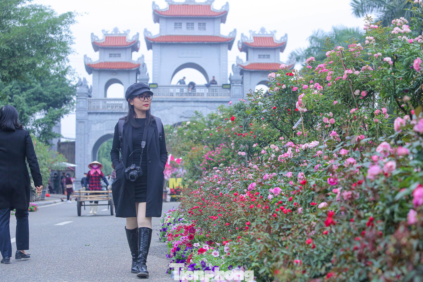 Các loại hoa hồng với đủ màu sắc được trưng bày tại lễ hội.