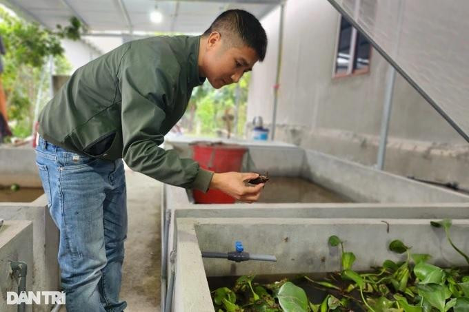 Đi xuất khẩu lao động về, anh Thuần tìm nhiều nghề mưu sinh, sau đó chọn nghề nuôi cà cuống để làm giàu (Ảnh: Thái Bá). Đi xuất khẩu lao động về, anh Thuần tìm nhiều nghề mưu sinh, sau đó chọn nghề nuôi cà cuống để làm giàu (Ảnh: Thái Bá).