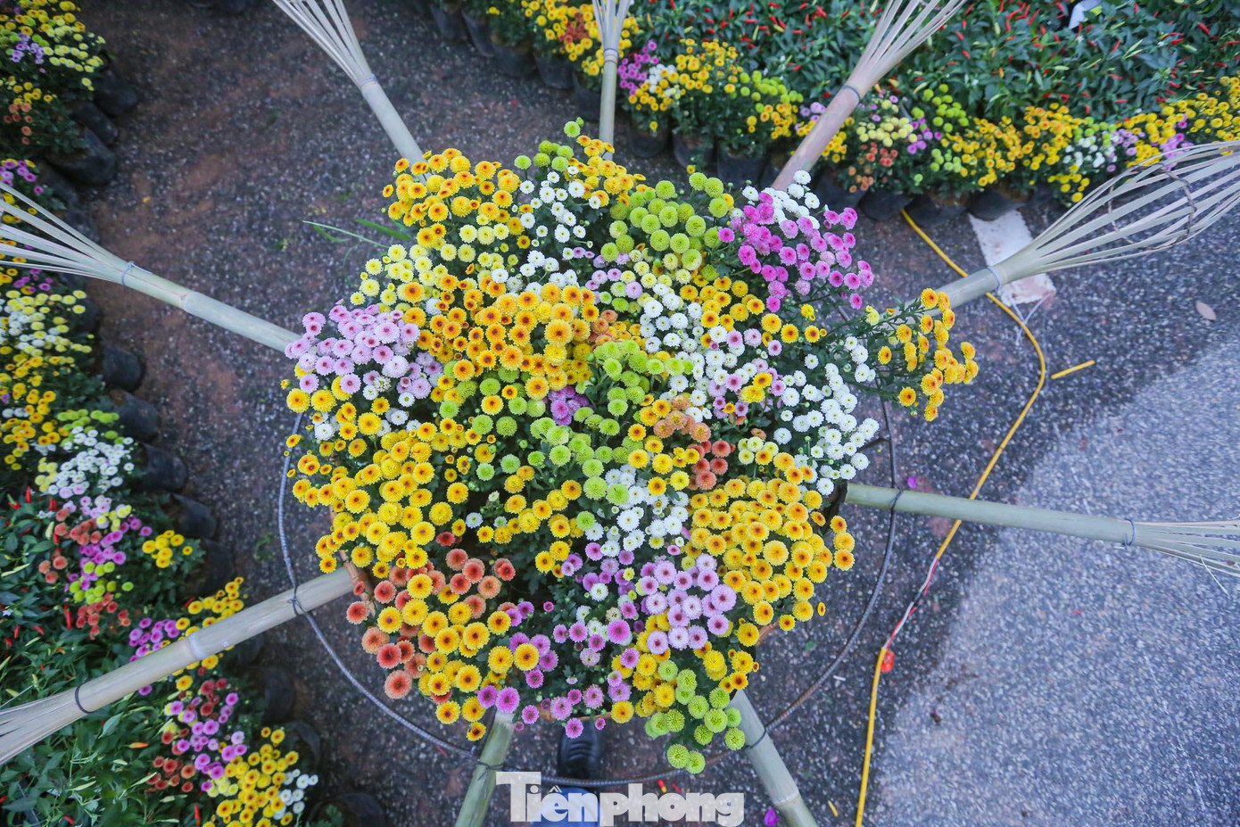 Festival hoa 2022 với chủ đề “Mê Linh rực rỡ sắc hoa” lần đầu tiên được tổ chức từ ngày 9-11/12 tại huyện Mê Linh (Hà Nội).