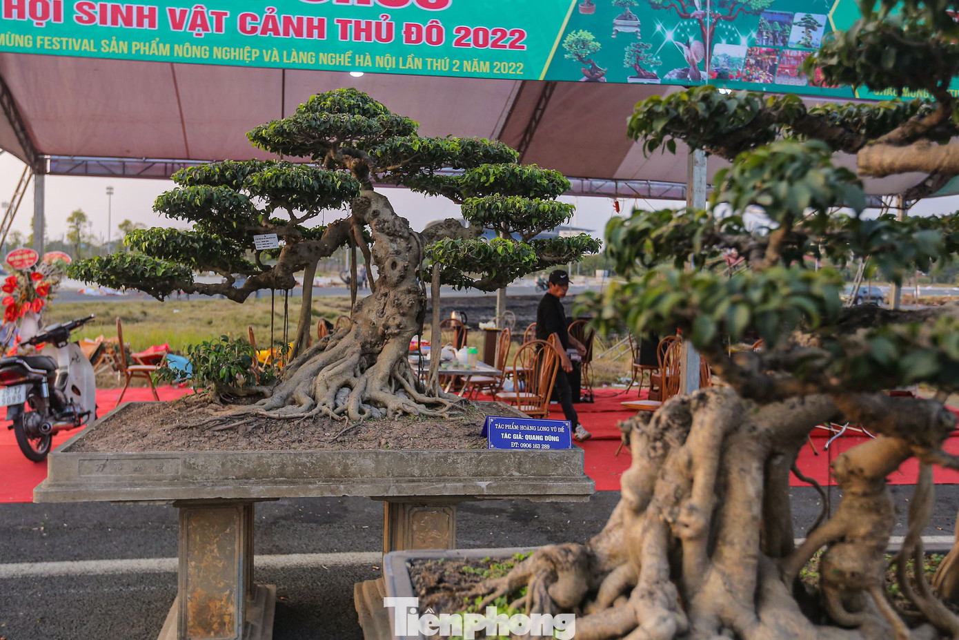 Tác phẩm "Hoàng Long Vũ Đế" đang được định giá 3 tỷ đồng.