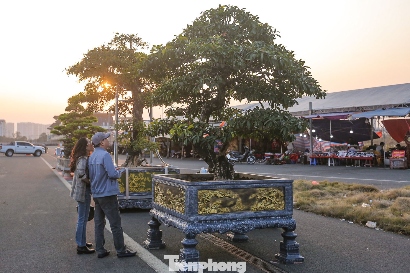Trong đó nhiều cây cảnh - bonsai có giá trị lớn từ vài trăm triệu đến hàng tỷ đồng.