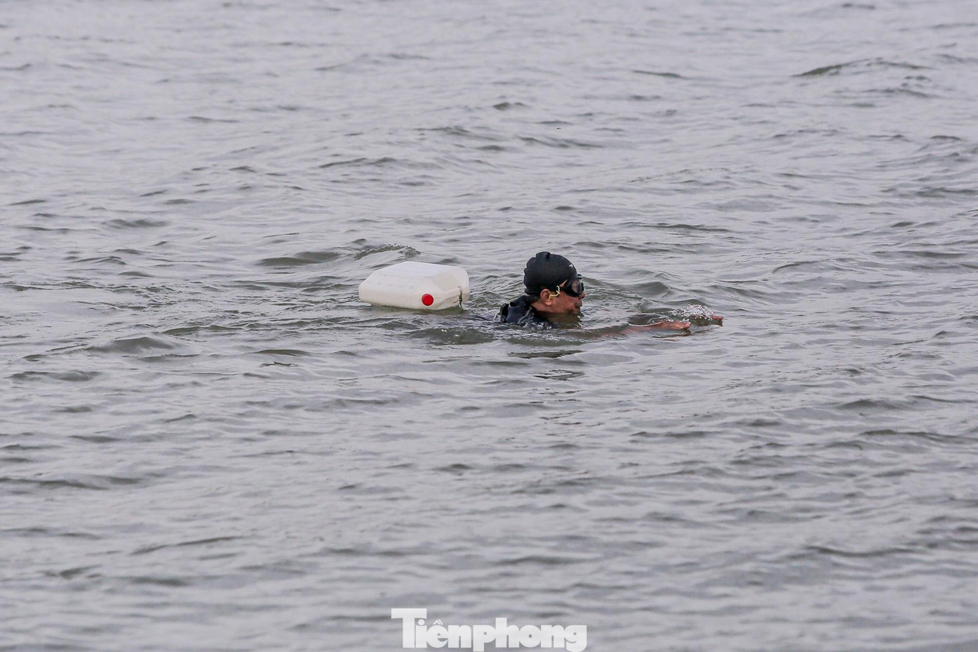 Nền nhiệt giảm sâu vào sáng sớm và chiều tối nhưng các "kình ngư" không từ bỏ thói quen.