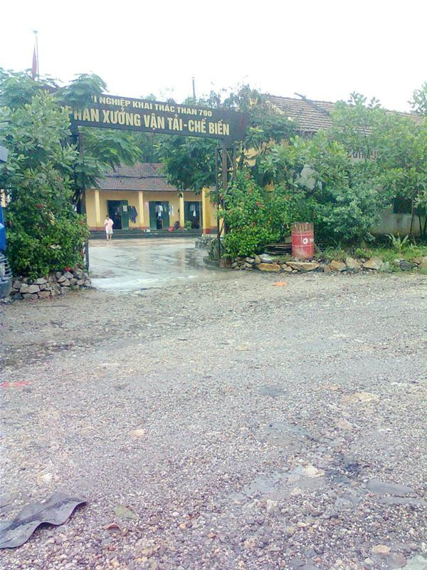 Việc Xí nghiệp 790 lập hai hệ thống báo cáo, gây bất bình cho các lái xe tại phân xưởng vận tải, chế biến Việc Xí nghiệp 790 lập hai hệ thống báo cáo, gây bất bình cho các lái xe tại phân xưởng vận tải, chế biến