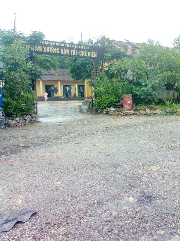 Việc Xí nghiệp 790 lập hai hệ thống báo cáo, gây bất bình cho các lái xe tại phân xưởng vận tải, chế biến Việc Xí nghiệp 790 lập hai hệ thống báo cáo, gây bất bình cho các lái xe tại phân xưởng vận tải, chế biến