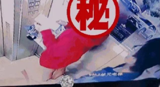 Lưu Tiếu Hàn quấy rối tình dục nữ hàng xóm trong thang máy.