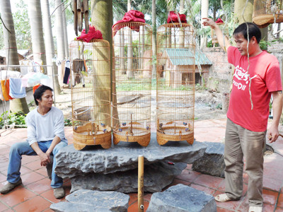 Ngắm chú chim vừa bắt được