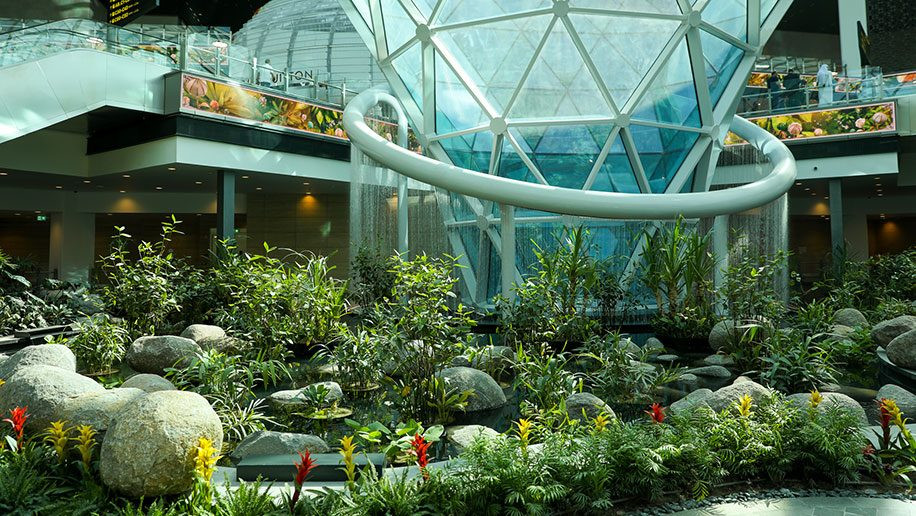 Vườn cây ngay trong sân bay Doha Hamad. Ảnh: CNN.