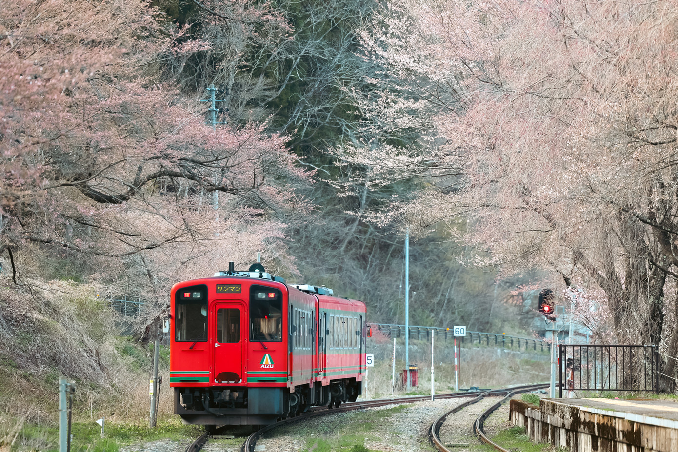 Quang cảnh của nhà ga luôn khiến du khách 'mê mẩn' bởi nhiều cây hoa. Vào mùa xuân, khoảng 30 cây anh đào nở xung quanh công trình nhà ga. Đến mùa thu, khách tham quan có thể vừa ngắm nhìn những tán lá đầy màu sắc của vùng núi gần đó. Ảnh: Lê Viết Vinh.