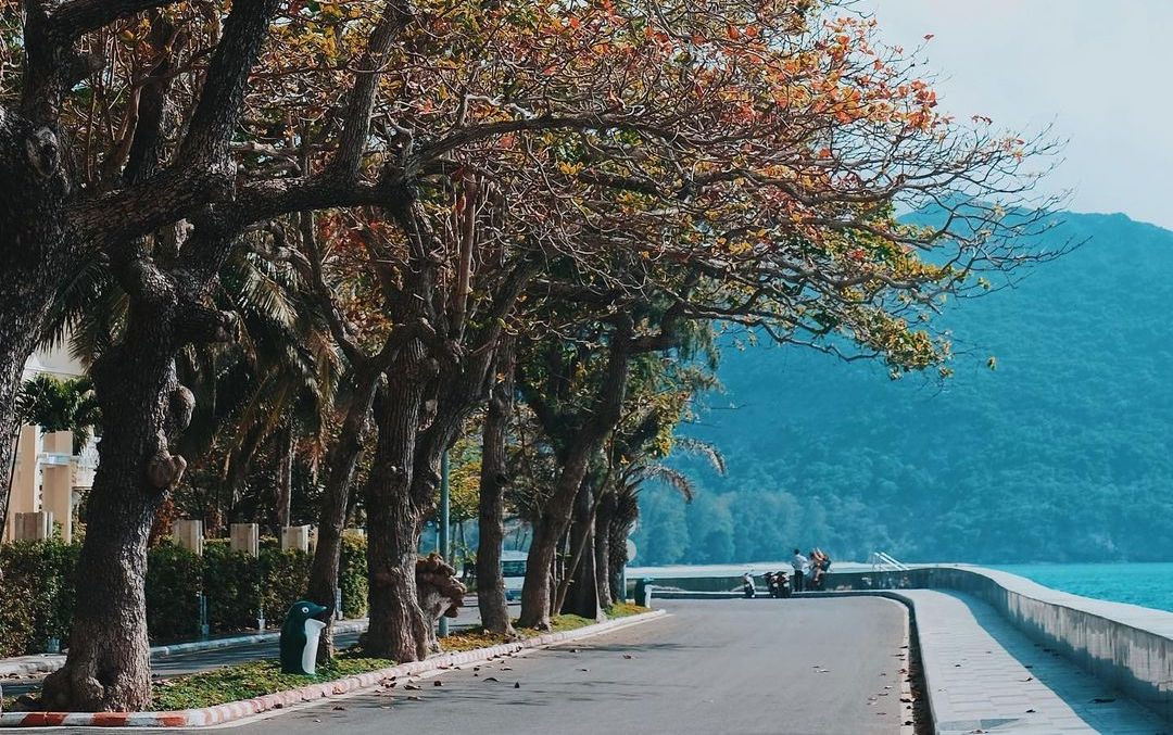 Khu du lịch Côn Đảo. Ảnh: Lê Viết Vinh. Khu du lịch Côn Đảo. Ảnh: Lê Viết Vinh.